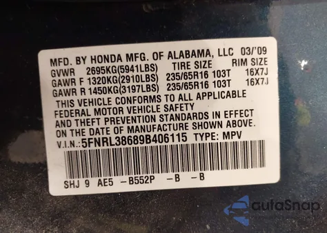 2009 Honda Odyssey Ex-L из США, поврежденный, VIN 5FNRL38689B406115